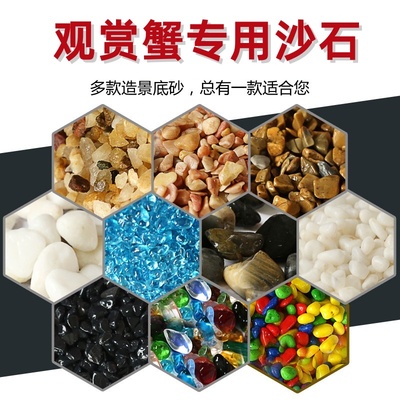 观赏蟹专用沙石泥沙铺底造景