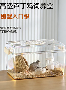 芦丁鸡仓鼠饲养箱育雏保温箱