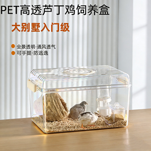芦丁鸡仓鼠饲养箱育雏保温箱