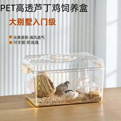 芦丁鸡仓鼠饲养箱育雏保温箱