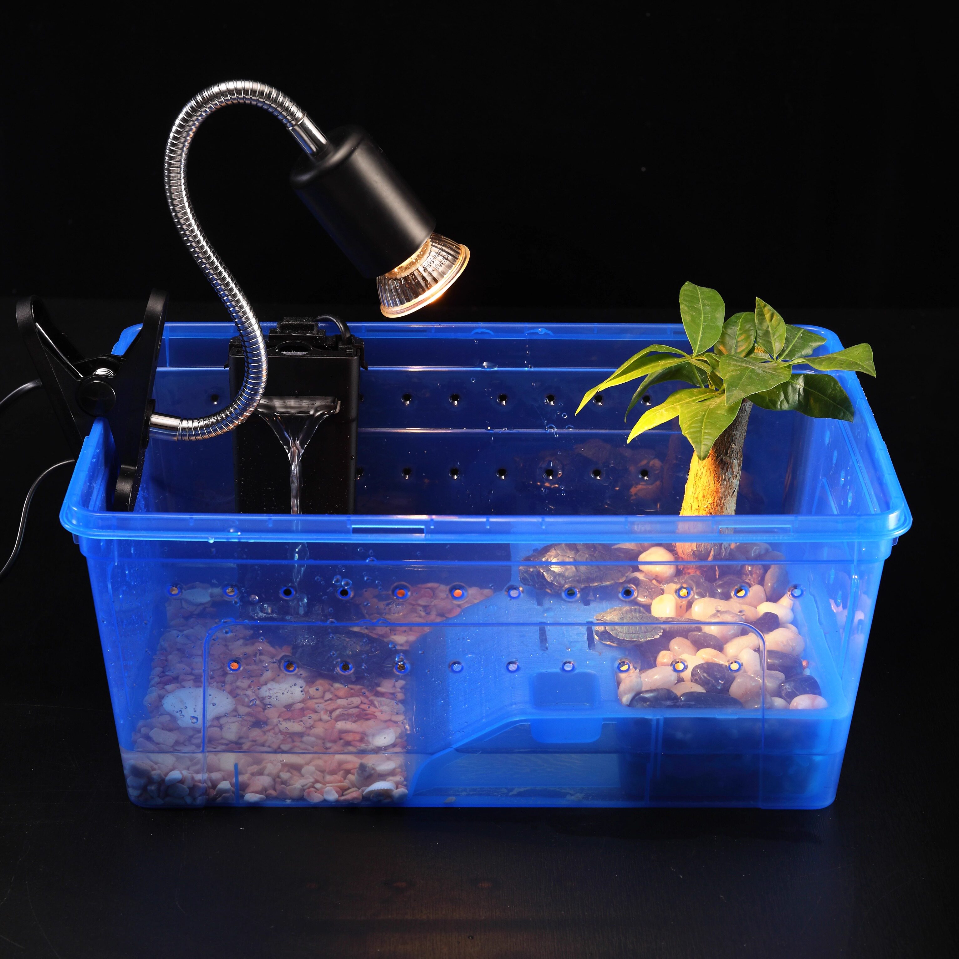 乌龟晒背灯UVA+UVB3.0太阳灯 爬虫加热灯+调温灯架龟缸全光谱陆龟