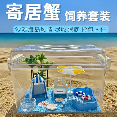 寄居蟹饲养盒套装寄居蟹饲养盒用品全套新手套装相守蟹沙蟹饲养缸