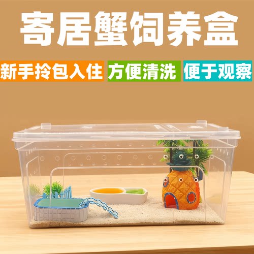 寄居蟹饲养箱套装新手螃蟹沙蟹相手蟹养殖盒造景缸寄居蟹全套用品