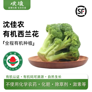 沈佳农有机西兰花花椰菜可沙拉烹饪鲜嫩爽脆有机蔬菜顺丰包邮3斤