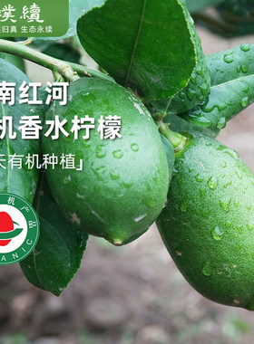 云南红河有机香水柠檬无籽浓香