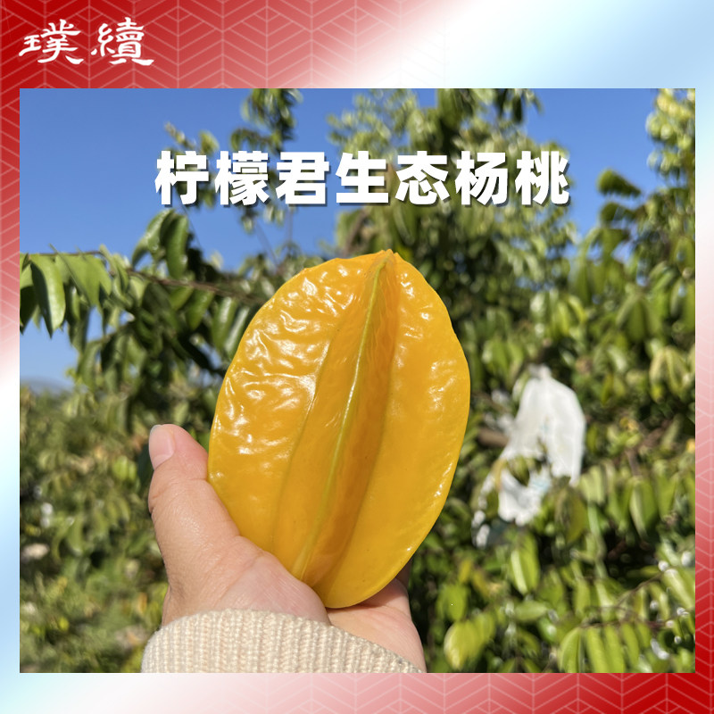 生态杨桃柠檬君自然熟新鲜现摘整箱鲜甜多汁树上熟孕妇应季水果,水产肉类/新鲜蔬果/熟食,杨桃,淘宝优惠券,粉丝福利购,淘宝优惠卷