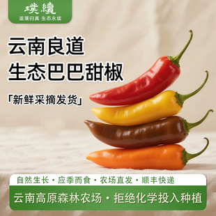 巴巴甜椒芭芭甜姆水果椒姆云南良道脆甜多汁生吃脆甜芭莱彩椒