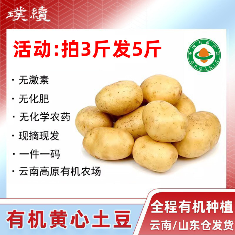 云南高原有机黄心土豆良道马铃薯