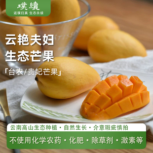 云艳生态大台农芒果金凤凰芒果新鲜4.8斤云南应当季水果整箱包邮