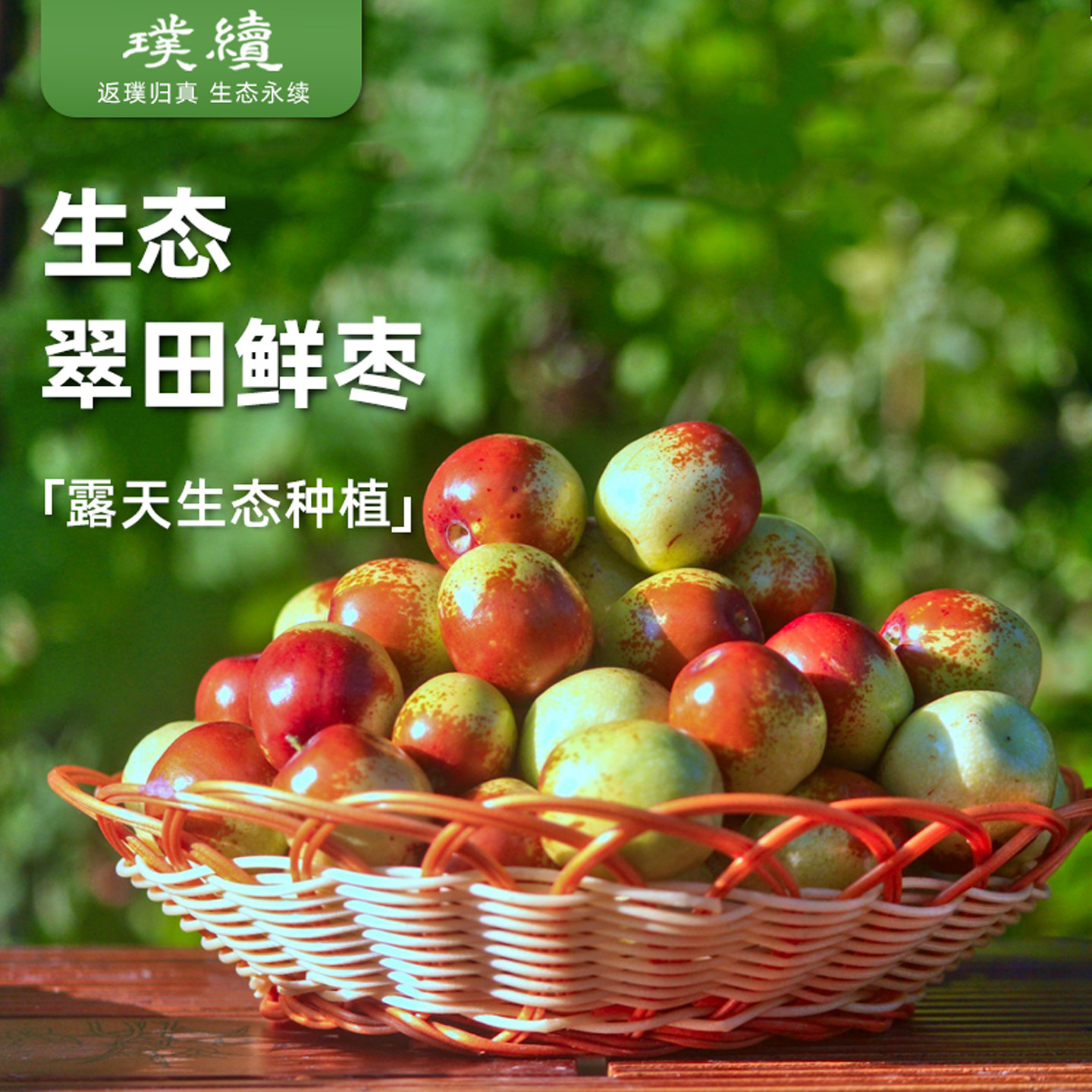 露天生态甜脆枣鲜枣新鲜山西伏脆蜜早脆蜜冷白玉冬枣梨枣官滩枣