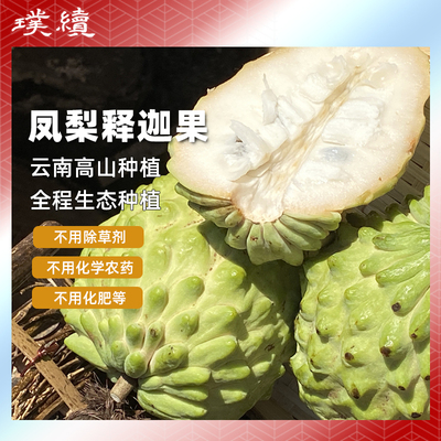 云南释迦果新鲜番荔枝孕妇现摘