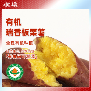 有机瑞香板栗薯辽宁种植香糯甜蜜薯细腻沙地露天甘栗红薯地瓜5斤