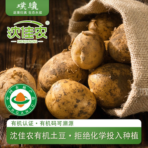 有机土豆沈佳农黄心洋芋生态黄马铃薯黄皮5斤包邮