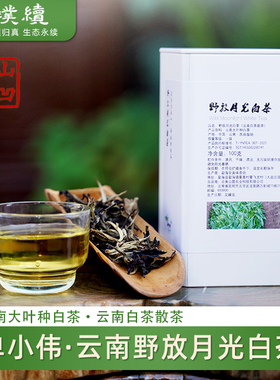 单小伟山凹凹野放月光白茶2025年云茶汤色金黄清甜自然农法100克
