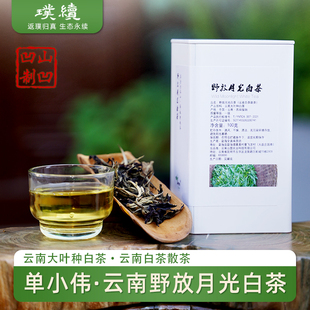 单小伟山凹凹野放月光白茶2025年云茶汤色金黄清甜自然农法100克