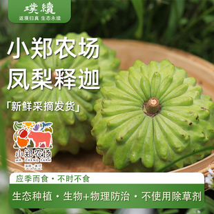 生态凤梨释迦果小郑农场海南番荔枝新鲜采摘当季水果檎释迦摩尼果