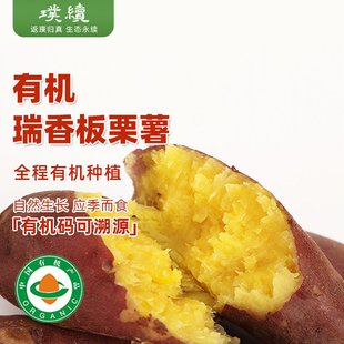 有机瑞香板栗薯辽宁种植香糯甜蜜薯细腻沙地露天甘栗红薯地瓜5斤