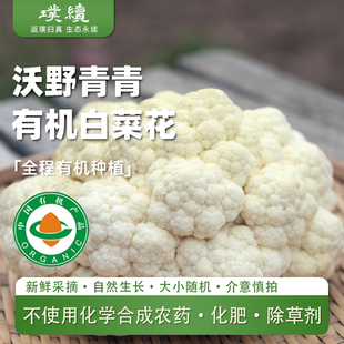 沃野青青有机白菜花白西兰花椰菜烹饪鲜嫩爽脆有机蔬菜顺丰包邮