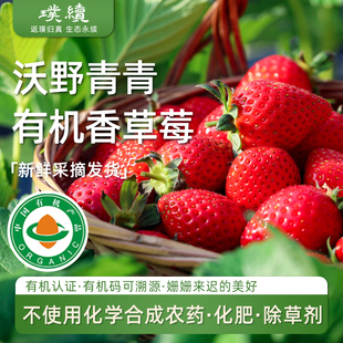 有机香草莓有机种植陕西沃野青青自然成熟酸甜孕妇小孩应季水果