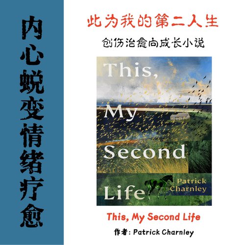 This My Second Life 电子资料此为我的第二人生 创伤治愈向