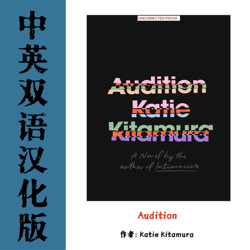 Audition 电子资料当代文学慢节奏心理向叙事 冷静克制文风