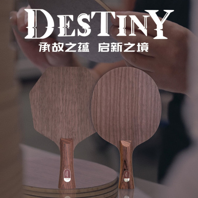 STIGA斯蒂卡赛博命运碳素乒乓球底板Destiny Carbon 5木2纤维球拍