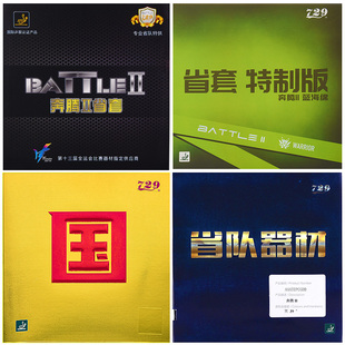 友谊729奔腾2省套金版 乒乓球胶皮球拍反胶套胶省队器材蓝海绵国套