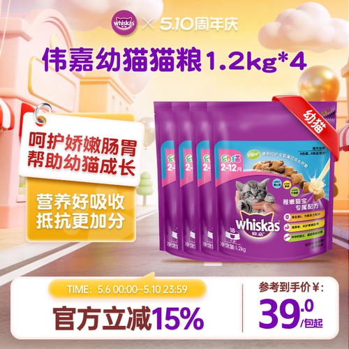 英短美短营养发腮三文鱼幼猫