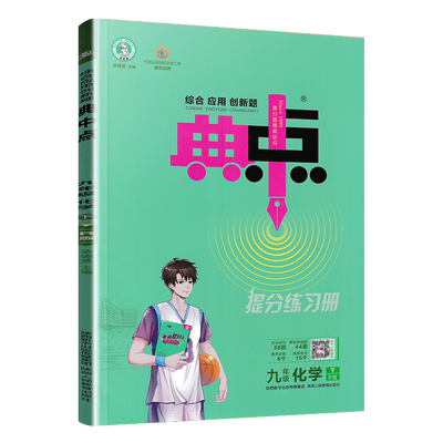 典中点九年级下册化学人教版