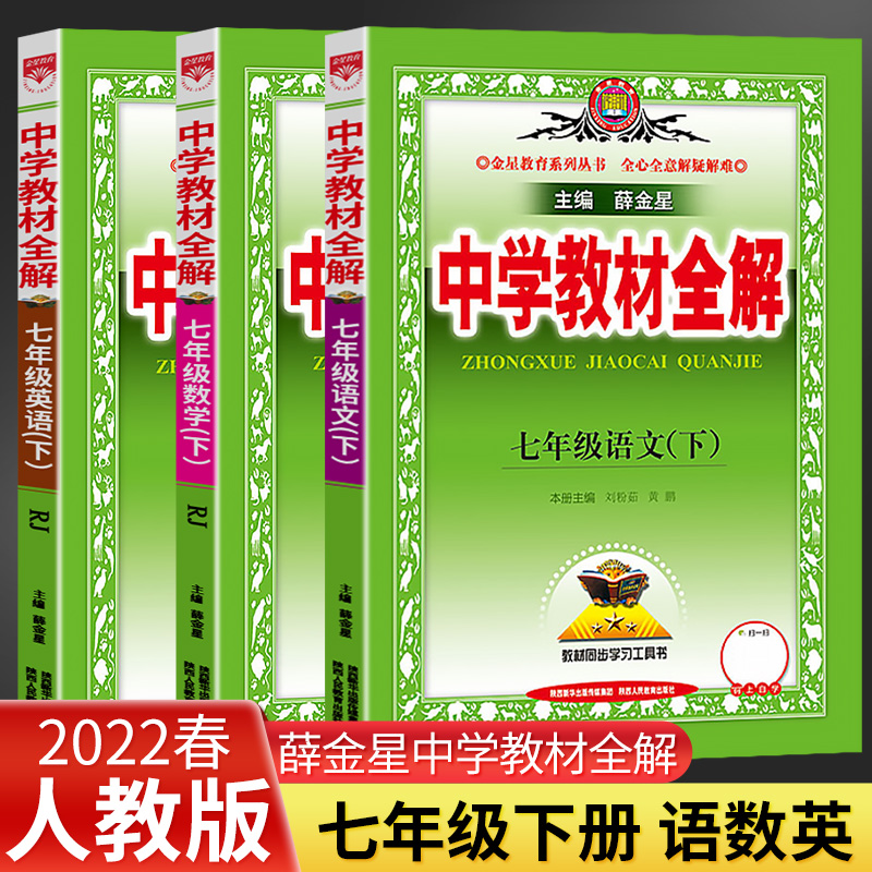 2024中学教材全解七年级下册教材全解人教版全套语文数学英语七年级下册课本同步讲解练习册七年级下册语文教材全解人教版