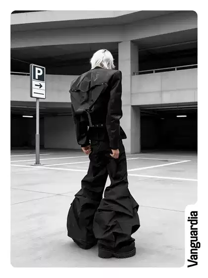 Vanguardia Wang Lujie's Same Style Avant-Garde Dark Nylon Black Pleated Flared Wide-Leg Casual Pants