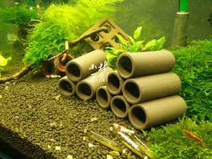 水晶虾繁殖组陶罐虾管虾窝躲避繁殖三孔/六孔紫砂色鱼缸造景