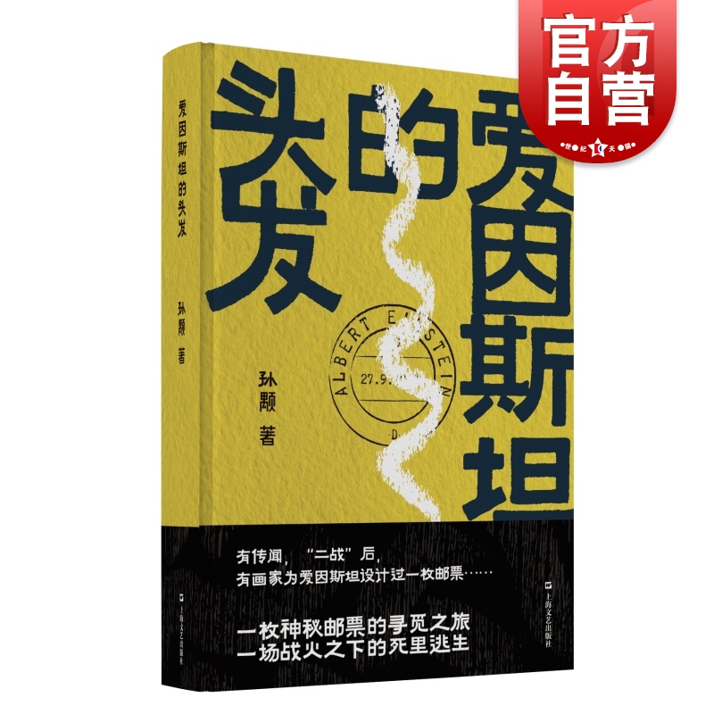 爱因斯坦的头发 孙颙奇思小说太史公笔法书写奇人奇事上海文艺出版社另著漂移者/缥缈的峰/风眼/他们的世界/哲学的瞌睡/拍卖师阿独