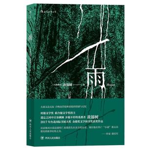 短篇小说作品集文学畅销书籍 郁达夫奖马来西亚华语金鼎奖图书奖获奖作品 黄锦树 雨