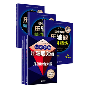 初中数学压轴题精讲精练试卷精编七年级八年级九年级中考数学书初一二初三教辅数学刷题知识大全训练题上下册上海教育出版社