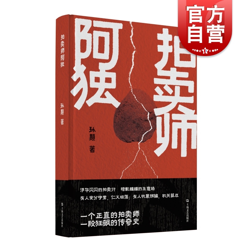 拍卖师阿独 孙颙奇思小说太史公笔法书写奇人奇事上海文艺出版社另著漂移者/缥缈的峰/风眼/他们的世界/哲学的瞌睡/爱因斯坦的头发