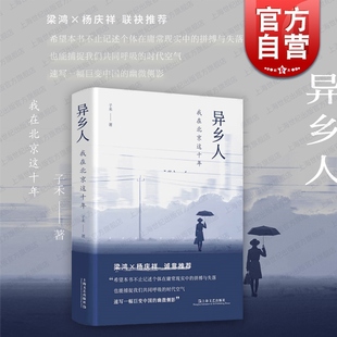 异乡人 我在北京这十年子禾非虚构文学纪实作品上海文艺出版社北漂生活故事另著诗集秋的马更加骨峻如风主编给孩子的诗歌经典系列