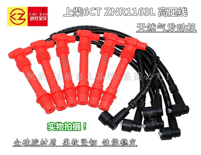 上柴6CTZNR1163L天然气高压线