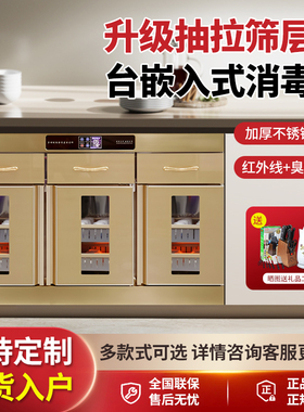 订做嵌入式消毒柜商用定制橱柜消毒碗柜双门餐厅餐具茶水柜保洁柜