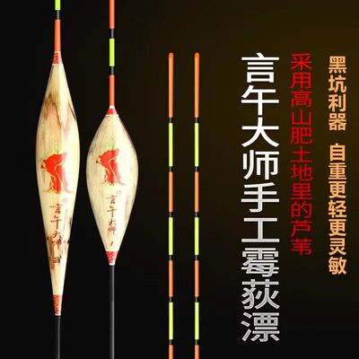 言午芦苇浮漂竞技超长黑坑鲫鱼漂