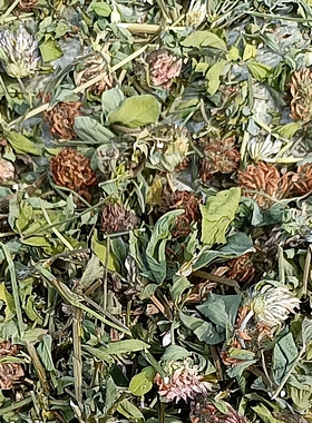 烘干红花苜蓿芳香植物全草干品安疗初级农产品基地绿色种植直销