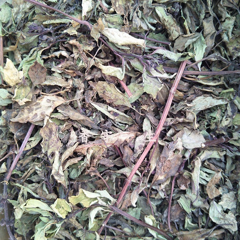 罗勒九层塔甜干叶碎药食两用荷兰
