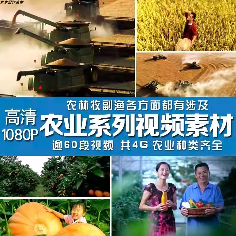 农业农村土地稻田粮食种植农民小麦收割丰收喜悦振兴航拍视频素材