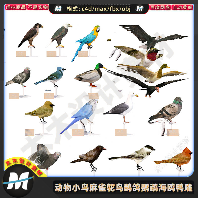 C4Dmax FBX写实小鸟麻雀鸵鸟鸽鹦鹉海鸥野鸭大雁鹰动物3D模型素材