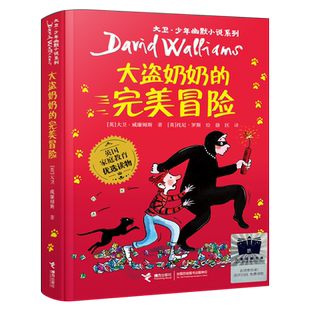 大盗奶奶的完美冒险 正版大卫·威廉姆斯著大卫少年幽默小说系列经典儿童文学故事书小学生三四年级课外书非注音版接力出版社kq52