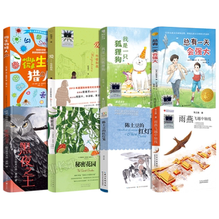 四年级课外书全套8册雨燕飞越中轴线总有一天会强大陈土豆的红灯笼我是一只狐狸狗微生物猎人黑夜之王爱外婆和我秘密花园飞跃kq52