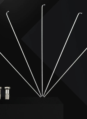 日本自行车专用不锈钢车条（各种型号）