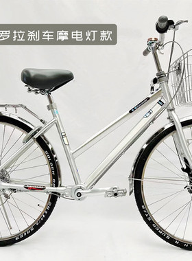 出口日本自行车专用不锈钢车筐大号。