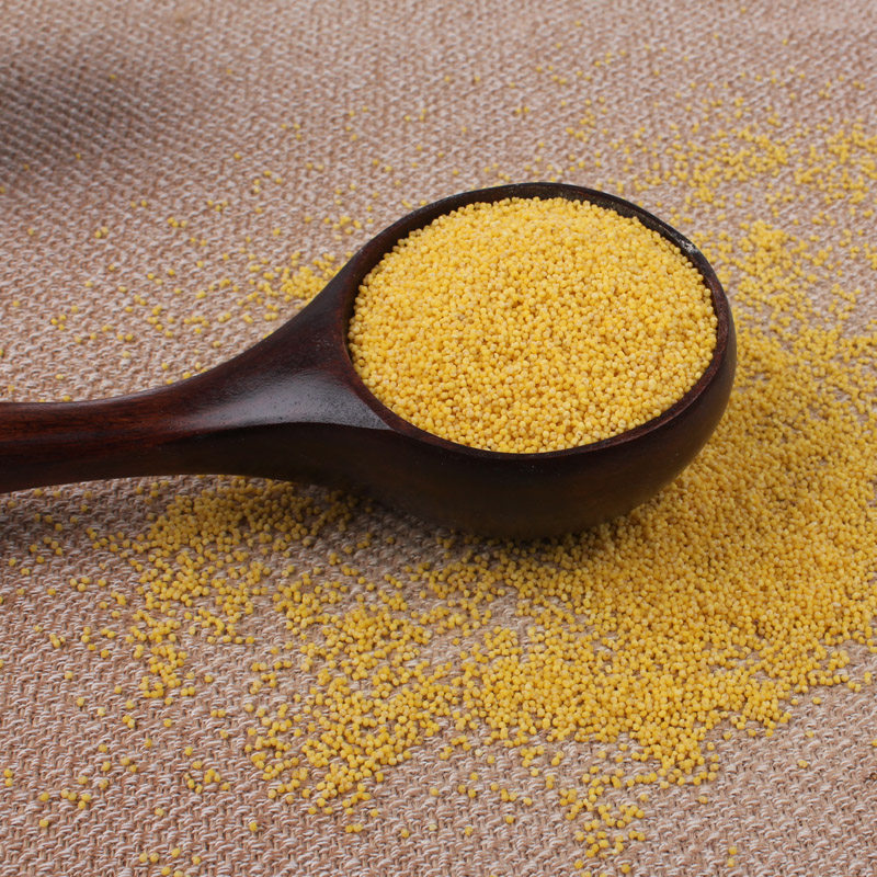 山东章丘特产青石山农家米脂黄小米小黄米小米粥五谷杂粮500g包邮