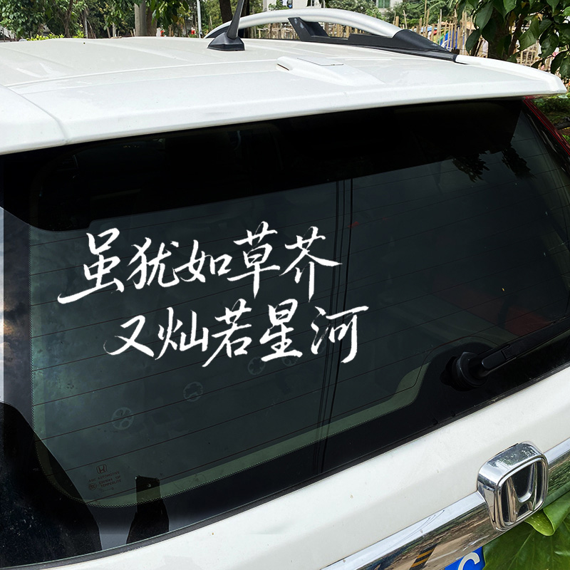 汽车贴纸草芥灿若星河车门装饰贴